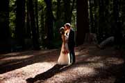 Newlyweds kiss in Big Sur redwood forest.