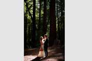 Wedding portrait in a sunbeam in Big Sur redwood grove.