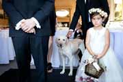 Flower girl and wedding dog at the Perry House in Monterey.