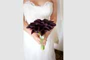 A purple calla lillies wedding bridal bouquet.