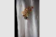 Vinatge Etsy pin and wedding ring.