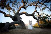 Newlyweds pose by an oak tree at Holman Ranch in Carmel Valley, California.