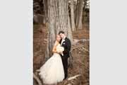 A wedding portrait in a cypress tree forest in Pebble Beach, California.