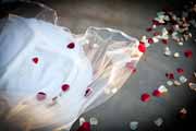 Rose petals covering wedding gown train.