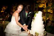 Birde and groom cut wedding cake.