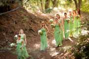 Bridesmaid in green dresses in Carmel Valley's Santa Lucia Preserve redwood forest.